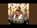 Imali (feat. Blaque Juice & Tripple Jay)