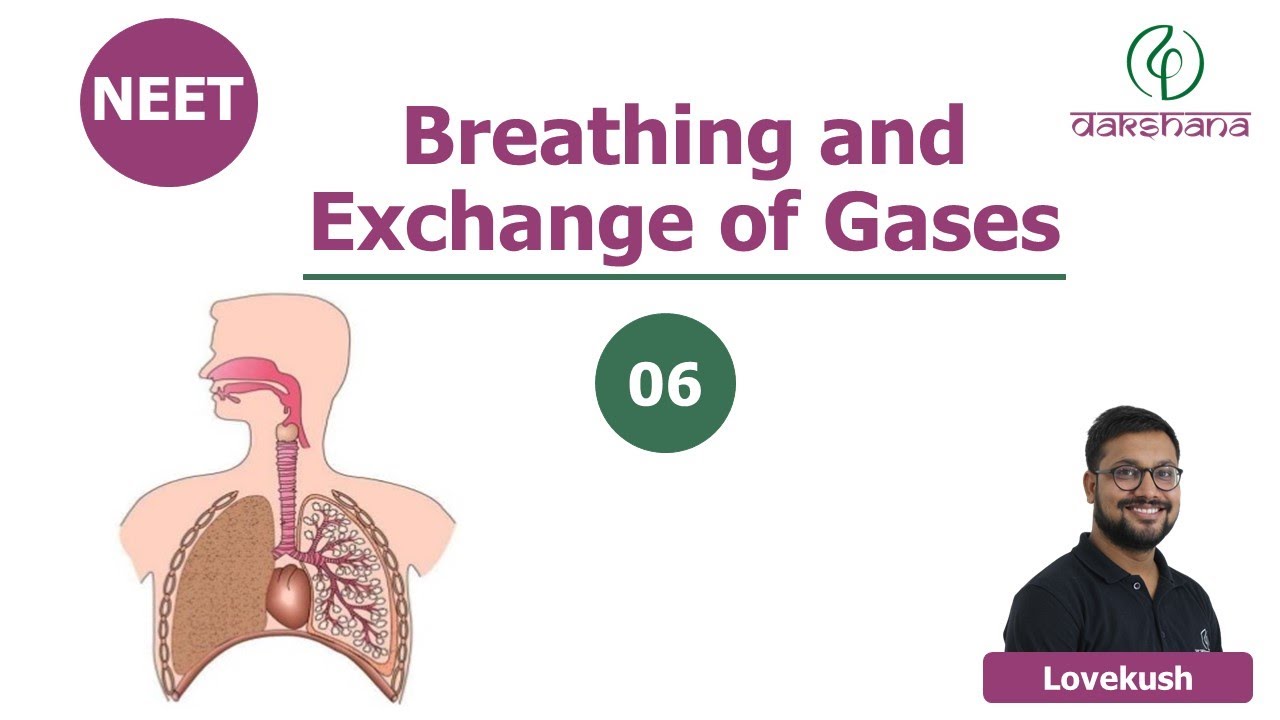 NEET | Biology | Breathing And Exchange Of Gases | L 06 | Lovekush ...