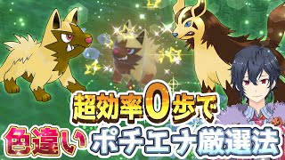 【ポケモンSV 碧の仮面】色違いポチエナ超高速厳選方法０歩or街リセット２パターン【ポケモンスカーレットバイオレット ゼロの秘宝】