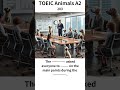 toeic animal a2 203 語彙 聞く