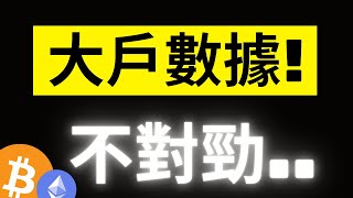 比特幣持續拉漲4000美金! 大鯨魚買入散戶卻在賣..注意了! ETH幣安大戶竟然8成都在做多!不對勁..? #eth