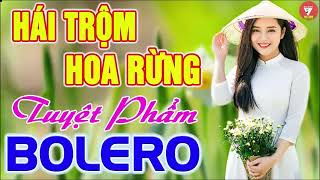 ✔️HÁI TRỘM HOA RỪNG Tuyệt Phẩm BOLERO HAY NHẤT 2021 ❤️ LK NHẠC VÀNG TUYỂN CHỌN Đi Cùng Năm Tháng