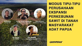 Modus Tipu-tipu Perusahaan Ekspansi Perkebunan Sawit di Tanah Masyarakat Adat Papua