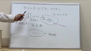 こいそちゃんねる25　コロナワクチン２　ウイルスベクターワクチンってメッセンジャーRNAワクチンとどう違うの？