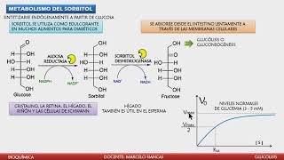 METABOLISMO DEL SORBITOL RELACIÓN CON LA DIABETES