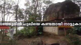 പത്തനാപുരം കലഞ്ഞൂരിൽ പുലിയെ കണ്ടതായി നാട്ടുകാർ