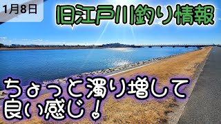 気持ちの良い日の【湾奥釣り情報！】雨で？濁り増し！