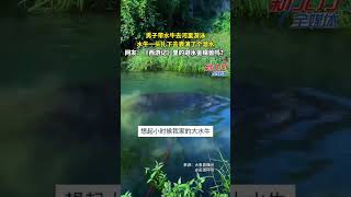 男子帶水牛去河裏遊泳 水牛壹頭紮下去表演了個潛水！ #新聞 #真實事件 #shorts