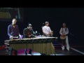 marimba and percussion performance saulius stanevicius at tedxvilnius