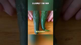 不會挑黃瓜怎麽辦？學會這四步，保妳挑出又脆又新鮮的黃瓜#shorts #涨知识