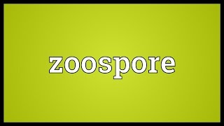 Zoospore Meaning