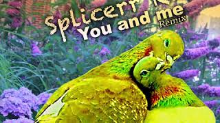 Splicerr Ras - You and Me (Reblah Star Remix)