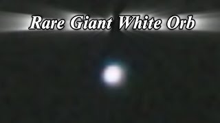 Rare Giant White Orb Vanishes, Fader Orb, Many Orbs December 30th, 2024