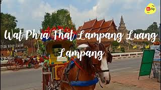 Travel to the north of Thailand EP.4 Phra That Lampang Luang | in clip