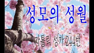 [가톨릭 성가 244번] 성모의 성월 - 칸디도 보칼레/성모성가/가톨릭성가/성모/