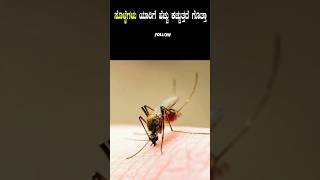 ಸೊಳ್ಳೆಗಳು ಯಾವ ಗುಂಪಿನ ರಕ್ತದವರಿಗೆ ಹೆಚ್ಚು ಕಚ್ಚೋದು