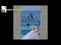 WOW AMAZING-WHALE HUMPBACK GALERI  VIDEO SHORT EDIT - SELECTION #shorts #edit