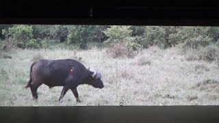 The Shooting Show - indoor hunting at Holland \u0026 Holland's Schiesskino