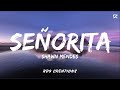 Señorita (Lyrics) | Shawn Mendes | RD9 CREATIONS