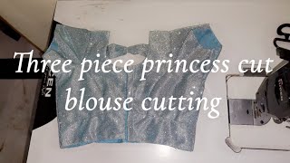 three piece princess cut blouse cutting tutorial