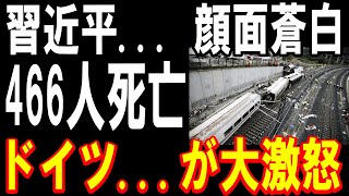 【海外の反応】「日本の新幹線にすればよかった…」中国鉄道の大損害にドイツ国民が激怒！