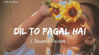 🎧Slowed and Reverb Songs | Dil To Pagal Hai | RAJIB 801
