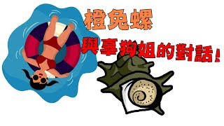 水族DIY 橙兔螺與辜狗姐的對話