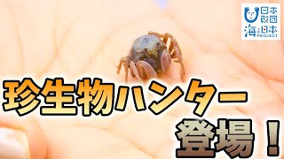 目指せ！　海の生き物博士 日本財団 海と日本PROJECT in 沖縄県 2021 #09