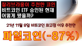 1. 찰리브라웅이 추천한 코인은 어떻게 됐을까? #찰리브라웅 #비트코인 #파일코인