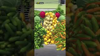 Fruits and vegetables walk, collision and collapse with 3D special effects, c4d effects