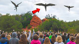 43 Things Human Were Never Meant To See
