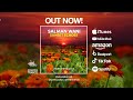 Salman Wani - Sunset Echoes [#wearetrance]