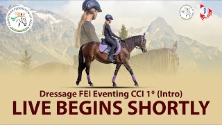 Dressage FEI Eventing CCI 1 (Intro) 16th January 2022