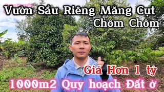 Vườn Sầu Riêng Măng Cụt Chôm Chôm Gần Dầu Giây - Đất Vườn Đồng Nai