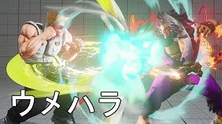 ウメハラガイルの豪鬼戦 対NL豪鬼 3先　Daigo Umehara(Guile) VS NL(Akuma) FT3