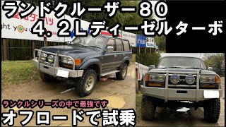 【ランクル８０試乗】オフロードでランドクルーザー８０のディーゼルターボを試乗！ランクル史上最強って言われる訳だ…