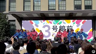 【4K公式】 東京花火 「ハヰカラ」/ 早稲田祭2019- 3号館前ステージ