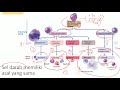 Fisiologi Sistem Imun Lengkap Sherwood x Tortora (Medical Learning Club)