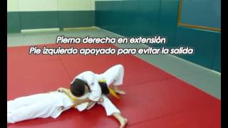 TRABAJO JUDO VIDEO TUTORIAL