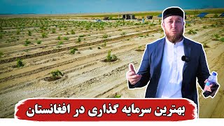 بهترین سرمایه گذاری در افغانستان | Qamar Foundation