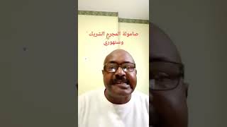 عبد الغفار المهدي | وجدي صامولة