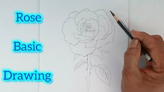 Rose drawing by pencil step -1 .