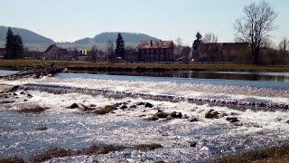 Die Donau von Donaueschingen nach Geisingen!  Anpaddeln mit Hund!