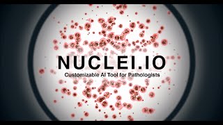 Customizable AI tool for pathologists | Innovating Health