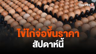 ผู้ค้าส่งแจงไข่ไก่จ่อขึ้นราคาสัปดาห์นี้ | จับตาสถานการณ์ | 13 มิ.ย. 66