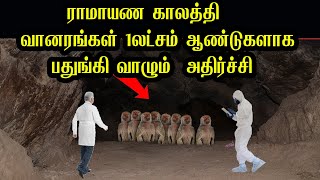 அதிர்ச்சி-உறைந்த ஆய்வாளர்கள் -ராமாயண காலத்தில் வாழ்ந்த வானரங்கள்  பதுங்கி வாழும்