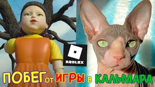 Кот УБЕГАЕТ от ИГРЫ в КАЛЬМАРА в Roblox 😻 Kot Million Games