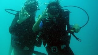 Amala Paul and A.L. Vijay celebrate their honeymoon underwater | Marriage | Hot Tamil Cinema News