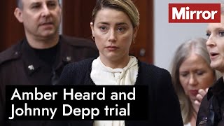 Amber Heard and Johnny Depp trial explainer