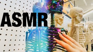 ASMR! PUBLIC! Halloween Decor! Tapping And Scratching! 🎃🍂🍁 Pt. 1/3